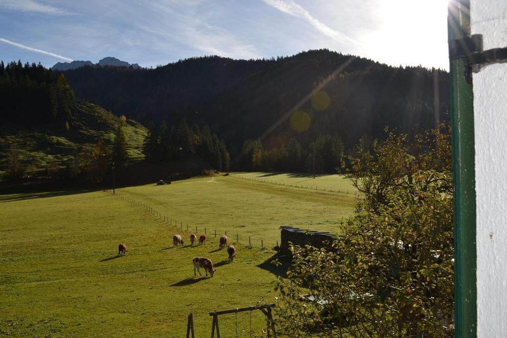Ferienwohnungen Foidlhof Hochfilzen Extérieur photo