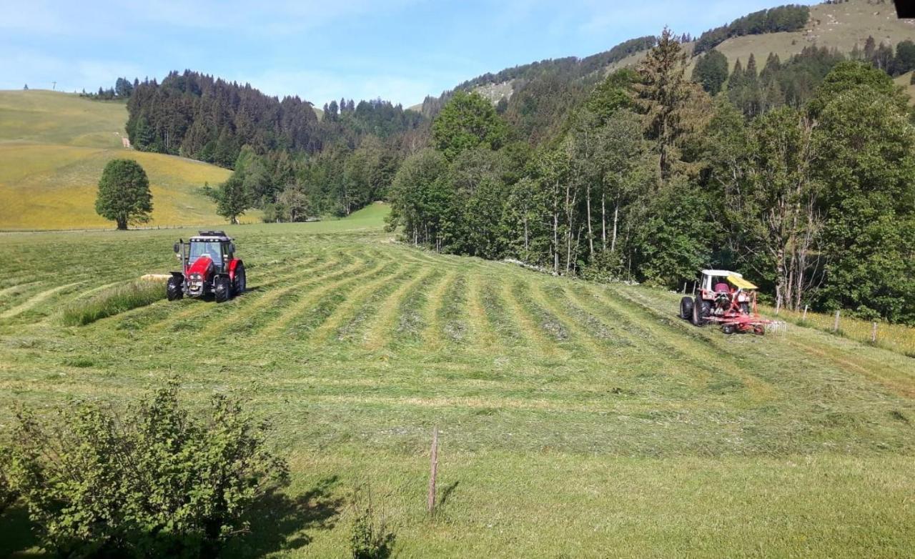 Ferienwohnungen Foidlhof Hochfilzen Extérieur photo